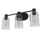Hunter Fan Company Hunter Fan Company Lochemeade Natural Black Iron Bathroom Light 19709