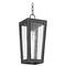 Quorum Lighting Bravo Noir Outdoor Hanging Light by Quorum Lighting 716-6-69