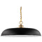 Nuvo Lighting Colony Large Pendant in Burnished Brass & Black by Nuvo Lighting 60-7487