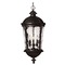 Hinkley Seeded Glass Outdoor Hanging Light Black by Hinkley Lighting 1892BK