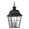 Quoizel Lighting Millhouse Hanging Light in Black by Quoizel Lighting MHE1910K