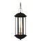 Quoizel Lighting Quoizel Lighting Crestfield Matte Black Outdoor Hanging Light CFD1910MBK