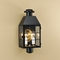 Norwell Lighting American Heritage Black Outdoor Wall Light 1093-BL-CL