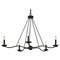 Troy Lighting Sawyer Forged Iron Chandelier by Troy Lighting F6305