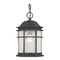 Dolan Designs Lighting Seeded Glass Outdoor Hanging Light Bronze 12-3/4-Inch Dolan Designs 9232-68