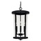 Capital Lighting Howell Outdoor Hanging Lantern in Black by Capital Lighting 926742BK