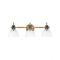 Hinkley Argo 24.50-Inch Bath Light in Brass & Black by Hinkley Lighting 51113HB