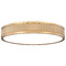 Z-Lite Z-Lite Stari Modern Gold LED Flushmount Light 1013F16-MGLD-LED