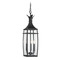 Savoy House Montpelier 25-Inch Outdoor Hanging Lantern in Black by Savoy House 5-763-BK