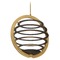Eurofase Lighting Ombra Brass & Black LED Pendant by Eurofase Lighting 38152-016