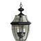 Quoizel Lighting Newbury Outdoor Hanging Light in Mystic Black by Quoizel Lighting NY1179K