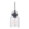 Craftmade Lighting Foxwood Flat Black & Dark Teak Mini Pendant by Craftmade Lighting 53691-FBDT