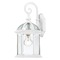 Nuvo Lighting Boxwood White Outdoor Wall Light by Nuvo Lighting 60/3494