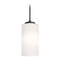 AFX Lighting Afx Lighting Leo Black Mini-Pendant Light with Cylindrical Shade LEOP04MBBK
