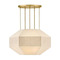 Hinkley Lyla 24.25-Inch Convertible Chandelier in Brass by Hinkley Lighting 47494LCB