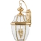 Quoizel Lighting Newbury Outdoor Wall Light in Polished Brass by Quoizel Lighting NY8317B