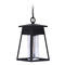 Craftmade Lighting Becca Textured Black Outdoor Hanging Light by Craftmade Lighting ZA2721-TB