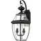 Quoizel Lighting Newbury Outdoor Wall Light in Medici Bronze by Quoizel Lighting NY8317Z