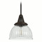 Hunter Fan Company Hunter Fan Company Cypress Grove Onyx Bengal Mini-Pendant Light with Bowl / Dome Shade 19248