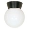 Nuvo Lighting Bronzotic Flush Mount by Nuvo Lighting SF77/153