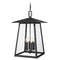 Z-Lite Z-Lite Rainer Black Outdoor Hanging Light 5015CHXXL-BK