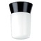 Nuvo Lighting Black Flush Mount by Nuvo Lighting SF77/154