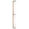 Visual Comfort Signature Collection Thomas OBrien Calliope LED Bath Light in Brass by Visual Comfort Signature TOB2193HABWG