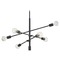 Design Classics Lighting Raev 6-Light Pendant in Matte Black by Design Classics 1950-07