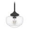 Hunter Fan Company Hunter Fan Company Saddle Creek Noble Bronze Mini-Pendant Light with Mushroom Shade 19046