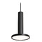 AFX Lighting Afx Lighting Luna Black LED Mini-Pendant Light LNAP08L30D1BK