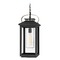 Hinkley Atwater 21.50-Inch 12V Coastal Rated Hanging Lantern in Black by Hinkley Lighting 1162BK-LV