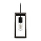 Hunter Fan Company Hunter Fan Company Squire Manor Matte Black & Dark Ash Mini-Pendant Light 19769