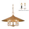 Z-Lite Z-Lite Rialto Signature Gold Pendant Light with Coolie Shade 1953-22SGD