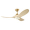 Visual Comfort Fan Collection Visual Comfort Fan Collection Maverick Smart 44 LED Burnished Brass LED Ceiling Fan with Light 3MAVSM44BBSWWOD