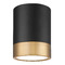 Z-Lite Z-Lite Algar Matte Black & Modern Gold LED Flushmount Light 1006F6-MB-MGLD-LED