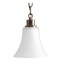 Progress Lighting Joy Antique Bronze Mini Pendant by Progress Lighting P5270-20W