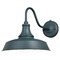 Vaxcel Lighting Vaxcel Lighting Dorado Hunter Green & White Barn Light T0483