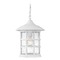Hinkley Freeport Coastal Elements Hanging Lantern in White by Hinkley Lighting 1862TW