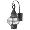 Hinkley Seeded Glass Outdoor Wall Light Zinc by Hinkley Lighting 2200DZ