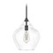 Hunter Fan Company Hunter Fan Company Dunshire Noble Bronze Pendant Light with Urn Shade 19647