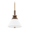 Troy Lighting Troy Lighting Staton Patina Brass / Bronze LED Pendant Light with Conical Shade F4212-PBR/BRZ