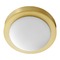 Quorum Lighting Aged Brass Flush Mount by Quorum Lighting 3505-9-80