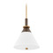 Troy Lighting Troy Lighting Staton Patina Brass / Bronze LED Pendant Light with Conical Shade F4216-PBR/BRZ