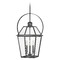 Hinkley Nouvelle Medium Hanging Lantern in Blackened Brass by Hinkley Lighting 2772BLB