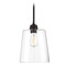 Meridian 9.5-Inch Pendant in Oil Rubbed Bronze by Meridian M70081ORB