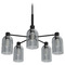 Hunter Fan Company Hunter Fan Company Lochemeade Natural Black Iron Chandelier 19198