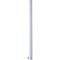 Progress Lighting 12-Inch Downrod in White by Progress Lighting P2603-30