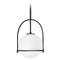 Hinkley Somerset Medium Pendant in Black by Hinkley Lighting 3407BK