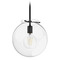 Hunter Fan Company Hunter Fan Company Sacha Natural Black Iron Pendant Light with Globe Shade 19660
