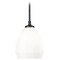 Z-Lite Z-Lite Oren Matte Black Mini-Pendant Light with Bowl / Dome Shade 7004P8-MB